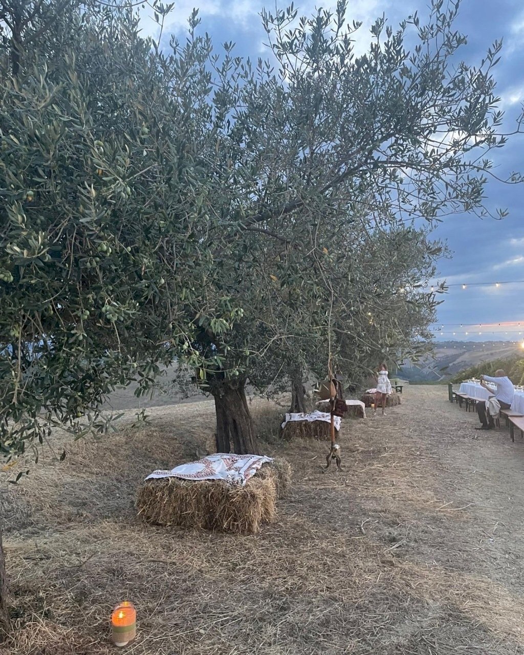 Farm Città Sant'Angelo - photo 3