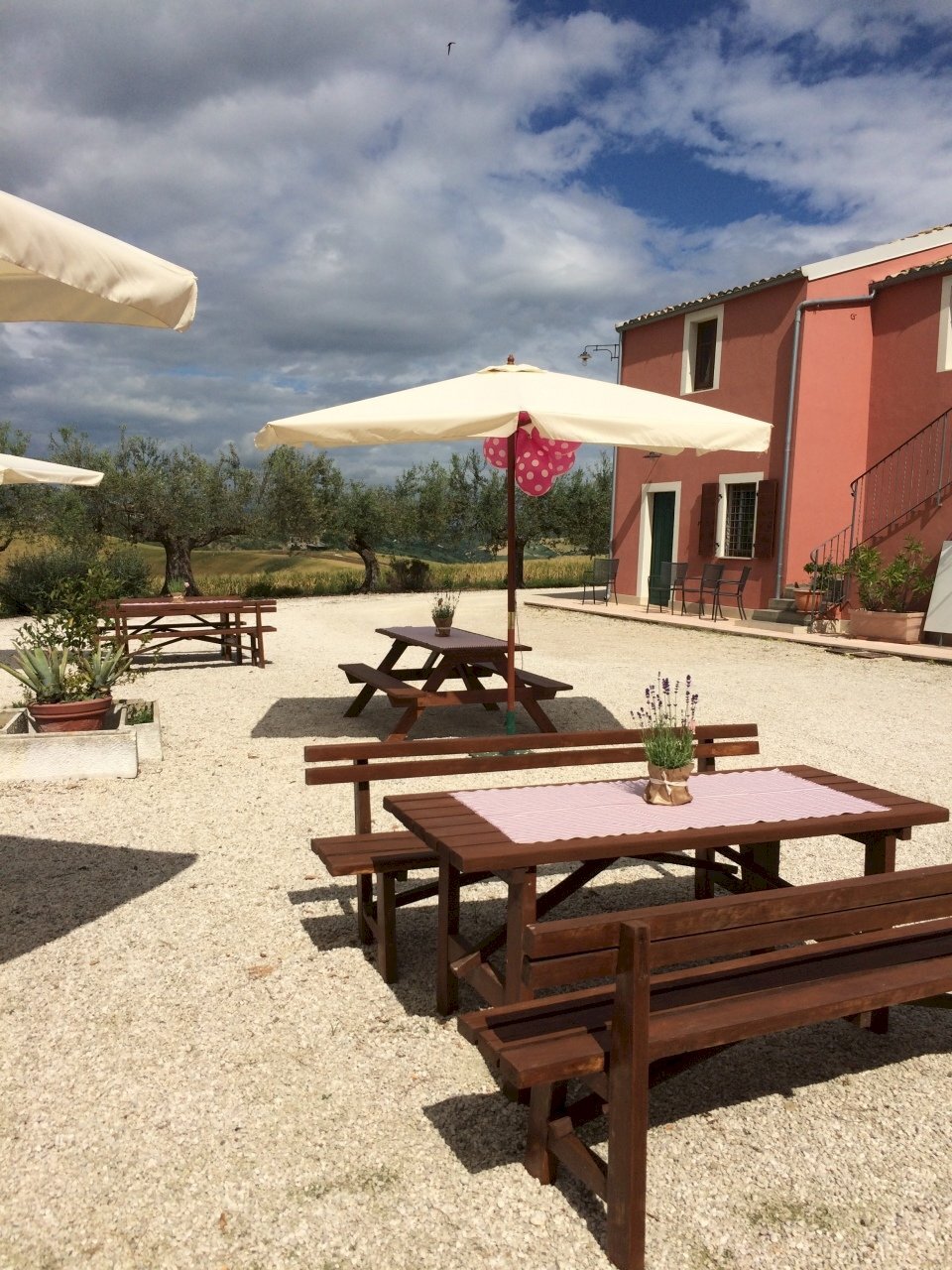 Farm Città Sant'Angelo - photo 1