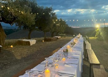 Azienda agricola Città Sant'Angelo - foto 2