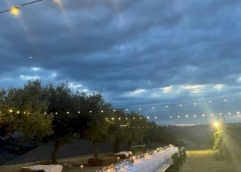 Azienda agricola Città Sant'Angelo - foto 5