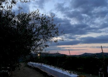 Azienda agricola Città Sant'Angelo - foto 6