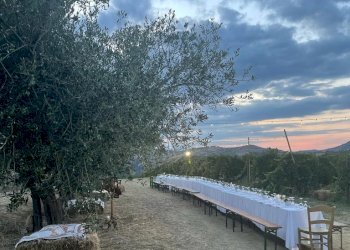 Azienda agricola Città Sant'Angelo - foto 7