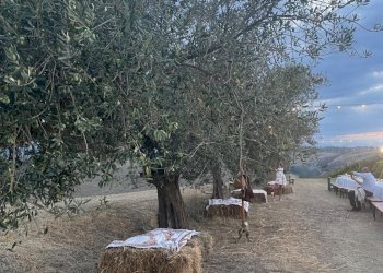 Azienda agricola Città Sant'Angelo - foto 3