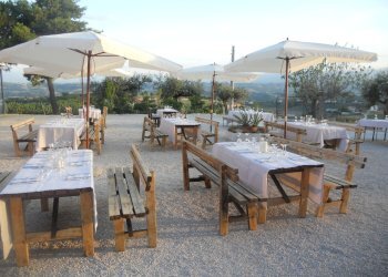 Azienda agricola Città Sant'Angelo - foto 9