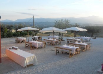 Azienda agricola Città Sant'Angelo - foto 10