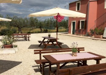 Azienda agricola Città Sant'Angelo - foto 1