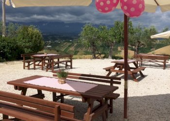 Azienda agricola Città Sant'Angelo - foto 11