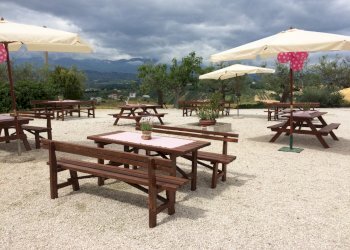 Azienda agricola Città Sant'Angelo - foto 4