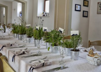 Azienda agricola Città Sant'Angelo - foto 12