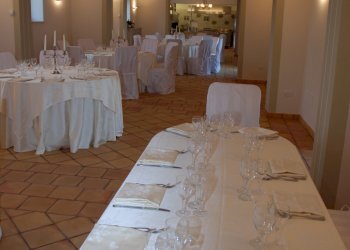 Azienda agricola Città Sant'Angelo - foto 13