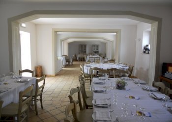 Azienda agricola Città Sant'Angelo - foto 14