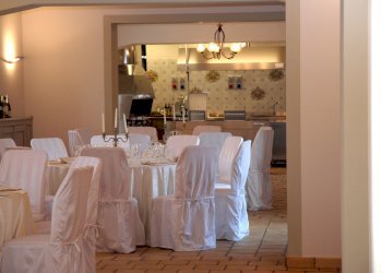 Azienda agricola Città Sant'Angelo - foto 15