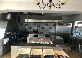 Azienda agricola Città Sant'Angelo - foto 18