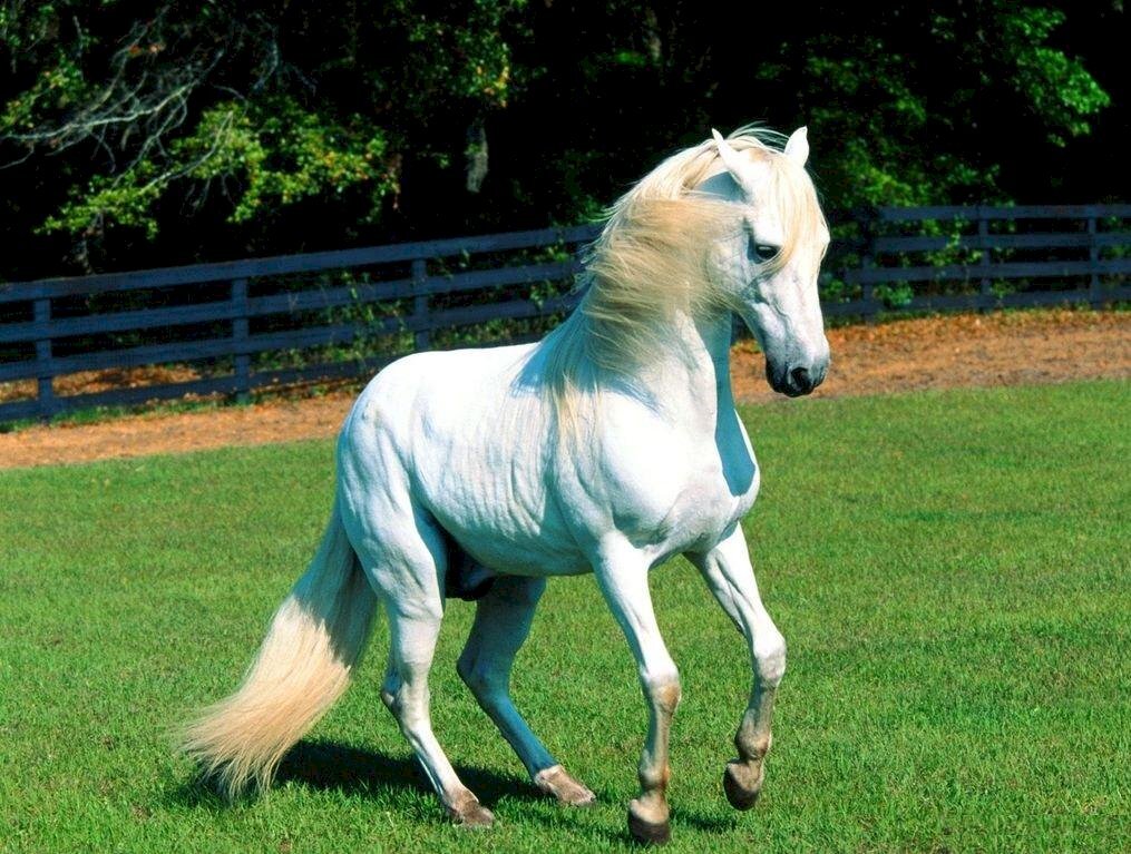 Azienda agricola Novara - foto 1