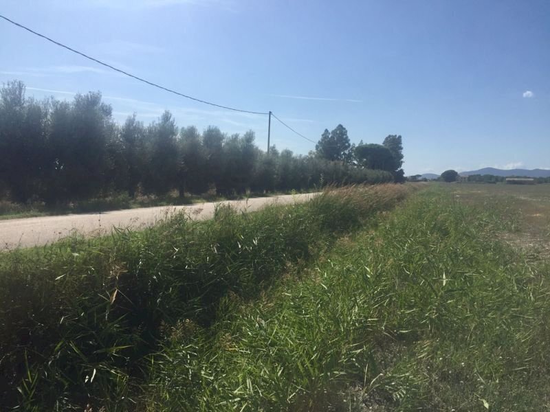 Terreno agricolo Grosseto - foto 2