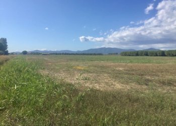 Terreno agricolo Grosseto - foto 3