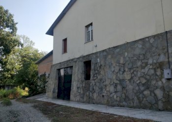 Azienda agricola Cerrina Monferrato - foto 3