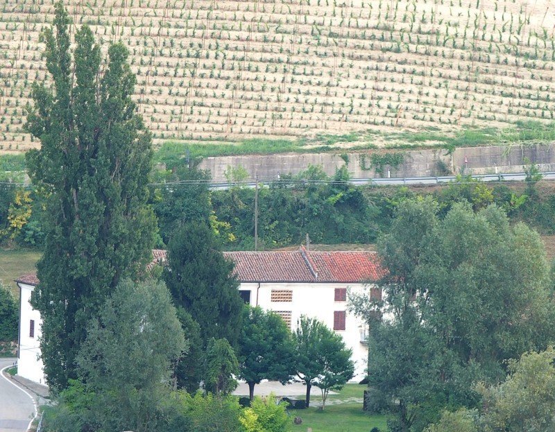 Azienda agricola Nizza Monferrato - foto 2
