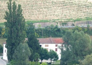 Azienda agricola Nizza Monferrato - foto 2