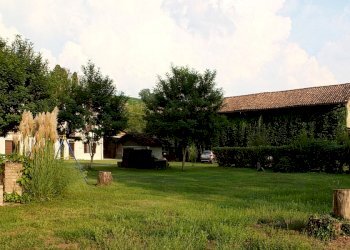 Azienda agricola Nizza Monferrato - foto 3