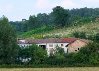 Azienda agricola Nizza Monferrato - foto 4