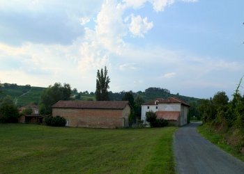 Azienda agricola Nizza Monferrato - foto 6