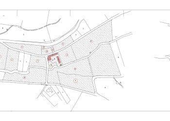 Azienda agricola Nizza Monferrato - foto 7