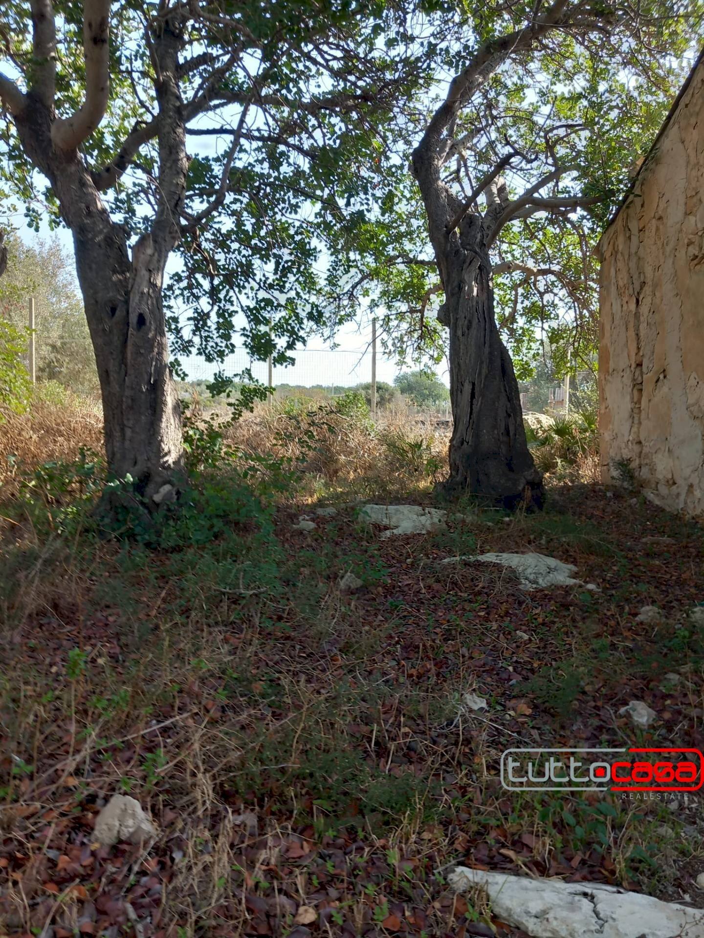 Rustico CONTRADA GURGAZZI, Scicli - foto 3