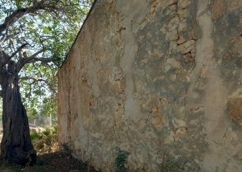 Rustic CONTRADA GURGAZZI, Scicli - photo 2
