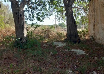 Rustic CONTRADA GURGAZZI, Scicli - photo 3