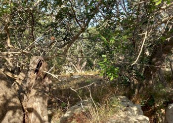 Rustic CONTRADA GURGAZZI, Scicli - photo 4