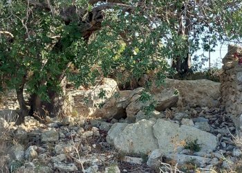 Rustic CONTRADA GURGAZZI, Scicli - photo 6