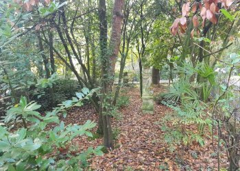 20.jpg - Villa Mirano - foto 17