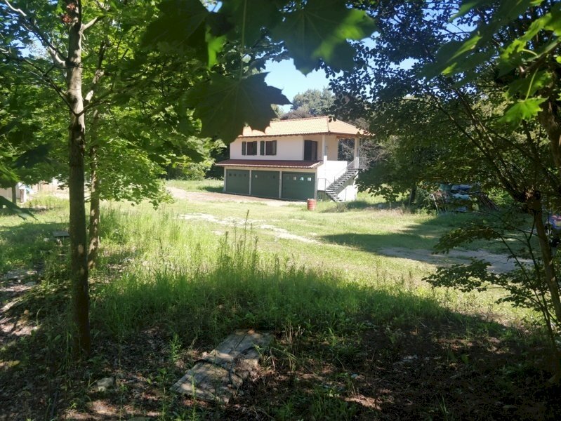 Agriturismo Gattico - foto 2