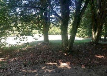 Agriturismo Gattico - photo 10