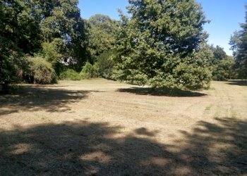 Agriturismo Gattico - photo 12