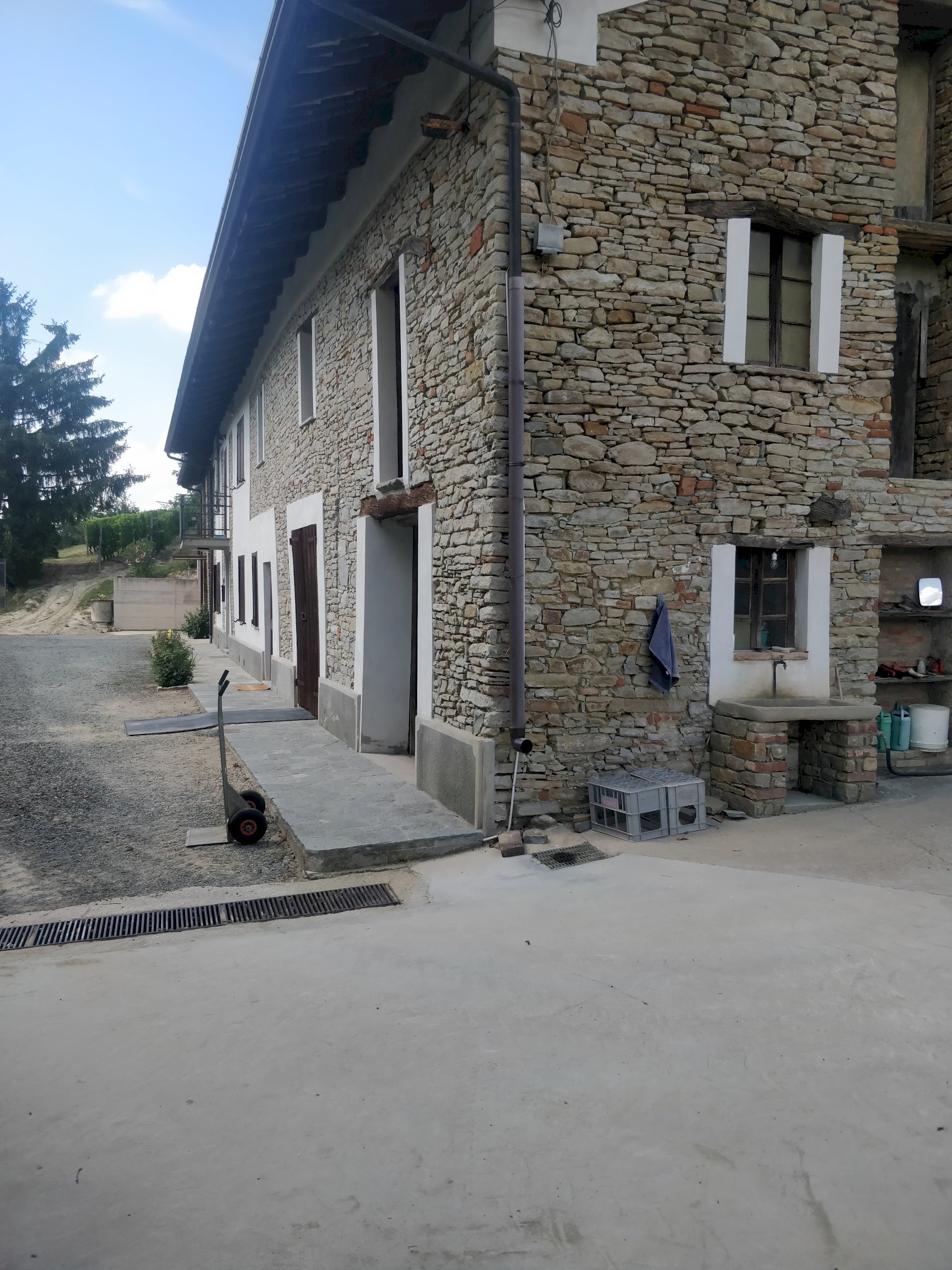 Azienda agricola Nizza Monferrato - foto 3