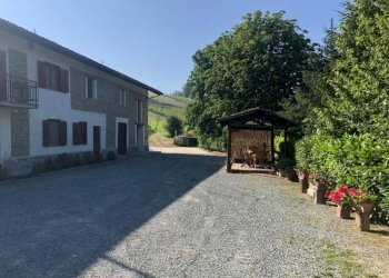 Azienda agricola Nizza Monferrato - foto 2