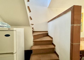 IMG_2654.jpg - Terratetto - Terracielo Seravezza - foto 4