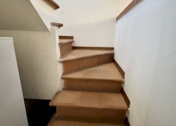 IMG_2663.jpg - Terratetto - Terracielo Seravezza - foto 8