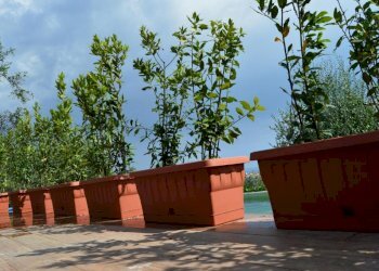 151413780.jpg - Villa Via dei Pini 9, Castelnuovo Magra - photo 4