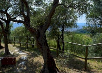 151413926.jpg - Villa Via dei Pini 9, Castelnuovo Magra - photo 21