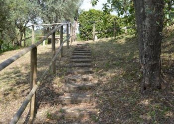 151413947.jpg - Villa Via dei Pini 9, Castelnuovo Magra - photo 26