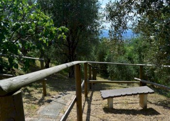 151413965.jpg - Villa Via dei Pini 9, Castelnuovo Magra - photo 29