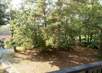 P9080305.JPG - Porzione di casa Urbe - foto 9