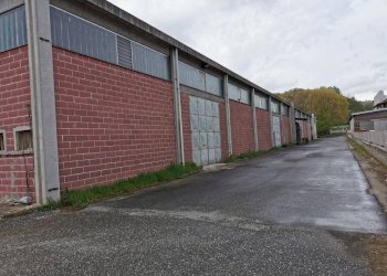 Capannone Terzo - foto 3