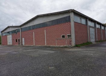 Capannone Terzo - foto 4