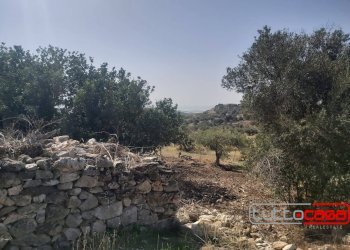 Rustico CONTRADA ZAGARONE, Scicli - foto 9