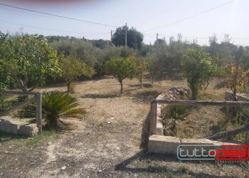 Rustico CONTRADA ZAGARONE, Scicli - foto 11