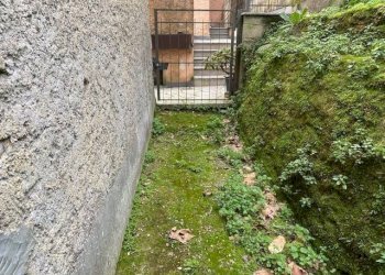 Villa Unifamiliare via Casone, Pietrasanta - foto 5